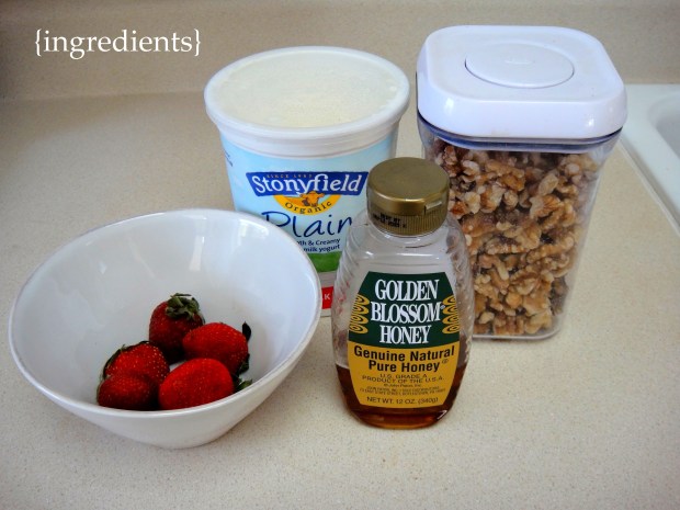 Ingredients for Parfait Ingredients - Yogurt, honey, walnuts and strawberries