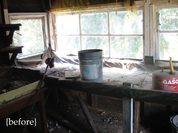 Before potting table