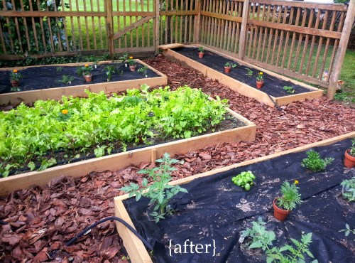 finished garden with text