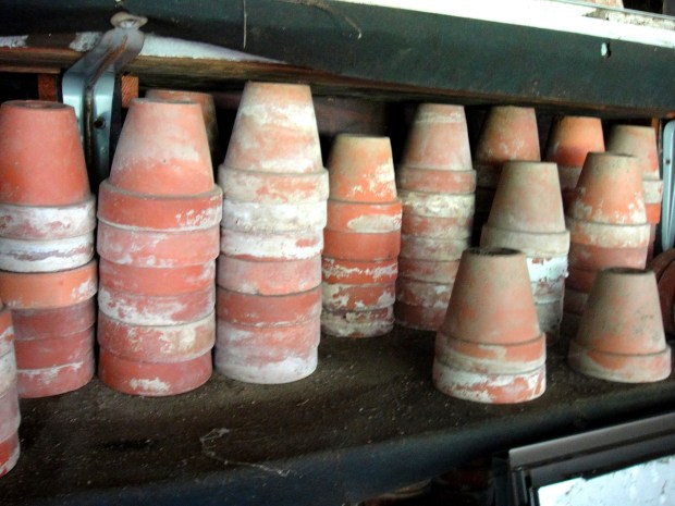 terracotta pots