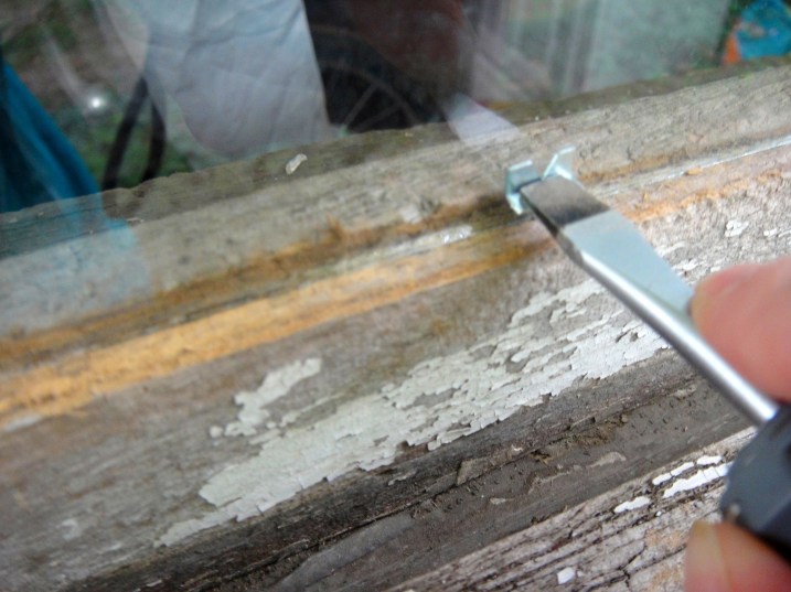 glazing points into window frame