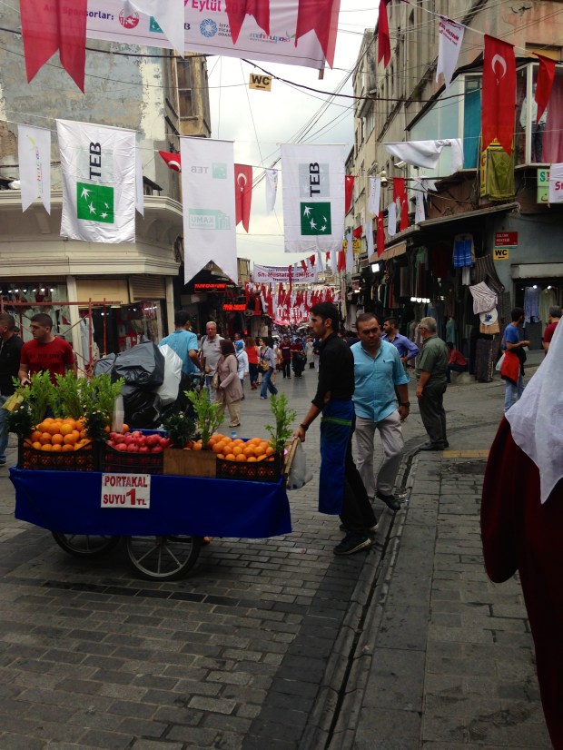 Streets of Istanbul 2014 So Pretty is as Pretty Does